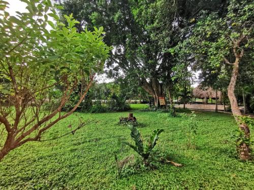 a park with a bench in a field with trees at Hotel Doralba Inn Chichen in Chichén-Itzá