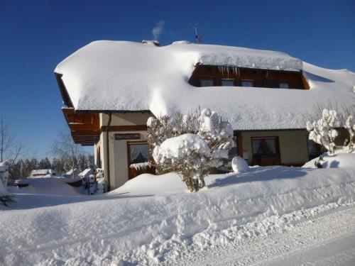 Gallery image of Holiday flat with balcony in Black Forest in Furtwangen