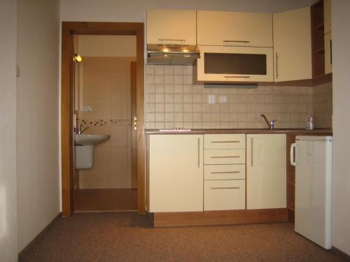 a kitchen with white cabinets and a sink and a toilet at Chata - Apartmán Čistá v Krkonoších in Černý Dŭl