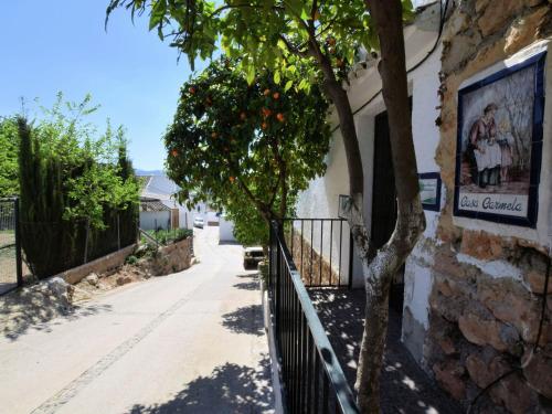 ZagrillaにあるBelvilla by OYO Carmelaのオレンジの木がある建物の隣の木