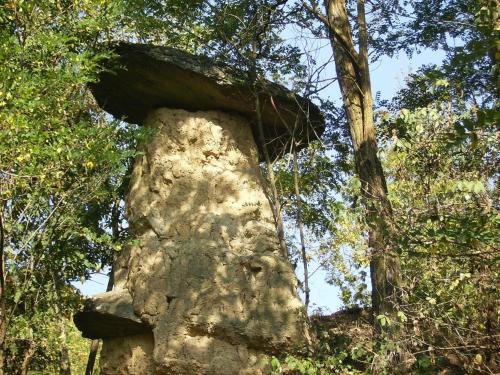 a rock pillar in the middle of a forest at Il Barucin in Villar San Costanzo
