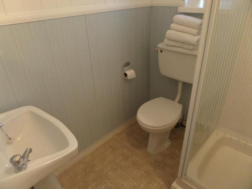 a bathroom with a white toilet and a sink at The Grays in Blackpool