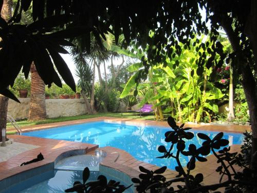 a swimming pool in a garden with a cat sitting next to it at Attractive Villa in Giannoudi with Private Pool in Giannoudi