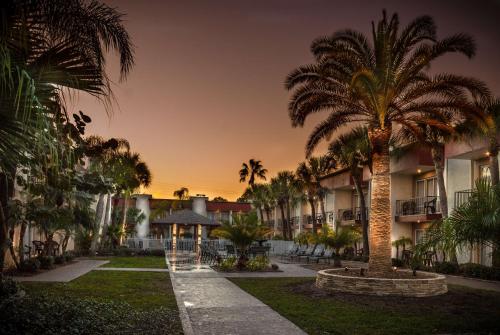 a palm tree in the middle of a courtyard with buildings at La Quinta by Wyndham Clearwater Central in Clearwater