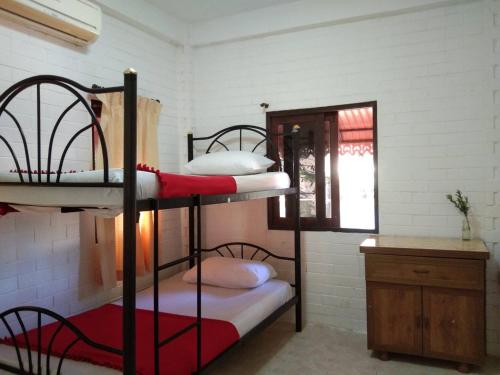 Bunk bed o mga bunk bed sa kuwarto sa Monkey Samui Hostel