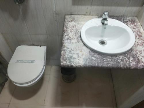 a bathroom with a sink and a toilet at Hotel Eastern Plaza in Kolkata
