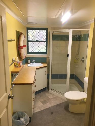 a bathroom with a shower and a toilet and a sink at Moore Park Beach Huts in North Coast