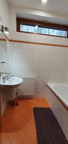 a bathroom with a sink and a tub and a toilet at Penzion Duncan in Janske Lazne