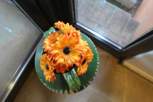 a vase filled with orange flowers on a green plate at Hotel Seva in Seva