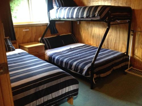 a bedroom with two bunk beds and a window at Canobolas Mountain Cabins in Lidster