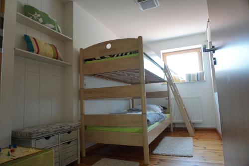 a bunk bed with a ladder in a room at Ferienwohnung Öttersbach in Poppenhausen