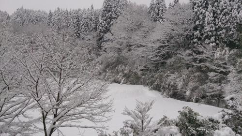 a snow covered forest with trees and a snow covered ground at Kurokawa Onsen Ryokan Ichinoi in Minamioguni