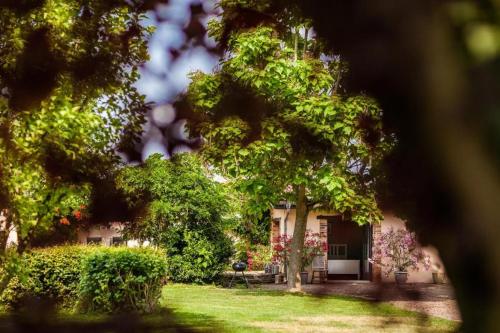a house with trees in front of a yard at Les Barelles in Saint-Jean-de-Thurigneux