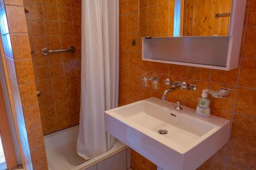 a bathroom with a sink and a shower at Chalet Allegra in Rosswald