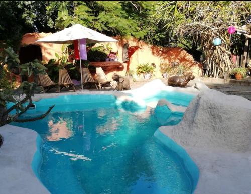 a swimming pool with a polar bear in the water at Pumusa Bushcamp in Hluhluwe
