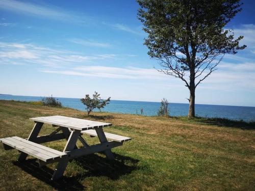 a picnic table sitting in the grass next to a tree at Viļņi in Ulmale