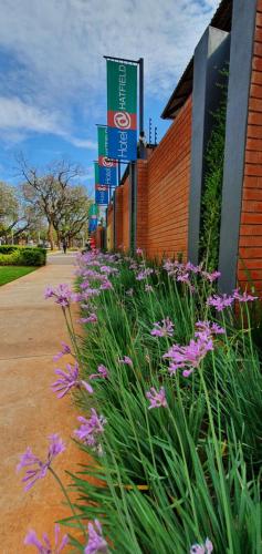 Un jardín fuera de Hotel AT Hatfield Apartments