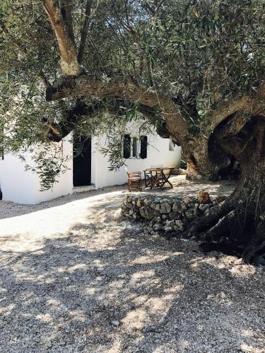 Φωτογραφία από το άλμπουμ του Villa Fioro στο Κορίθι