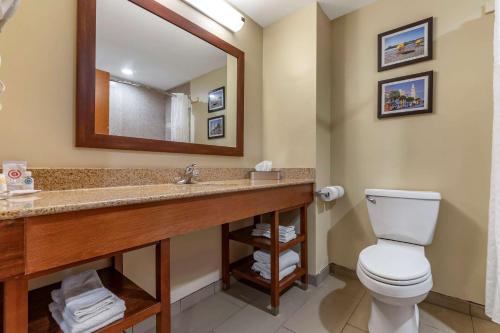 Koupelna v ubytování Comfort Inn & Suites Orangeburg
