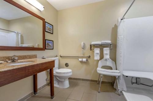 Koupelna v ubytování Comfort Inn & Suites Orangeburg