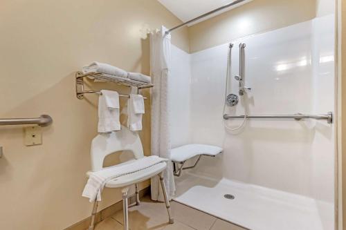Koupelna v ubytování Comfort Inn & Suites Orangeburg