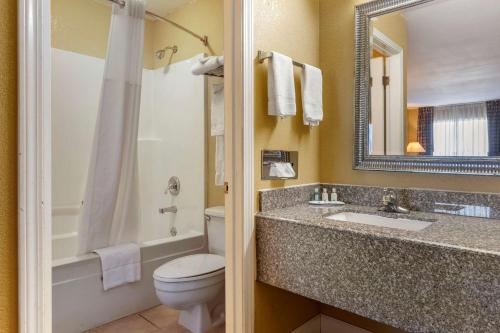 a bathroom with a sink and a toilet and a mirror at Quality Inn Russellville I-40 in Russellville
