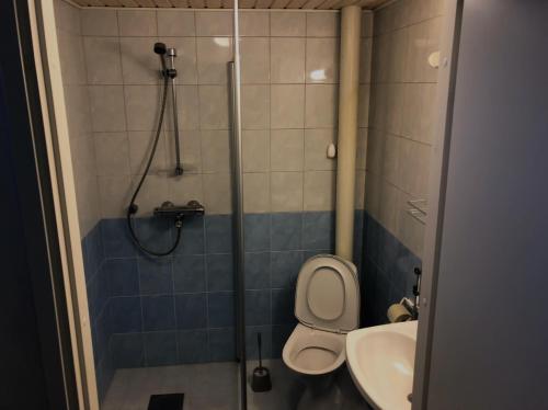 a bathroom with a shower and a toilet and a sink at Salonkylän koulu in Kaustinen