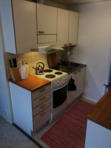 a small kitchen with a stove and a sink at Salonkylän koulu in Kaustinen