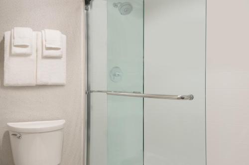 a bathroom with a shower with a toilet and towels at Holiday Inn Express - Plattsburgh by IHG in Plattsburgh