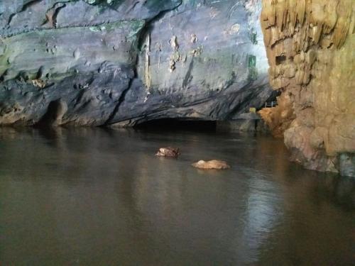 a river in a cave with rocks in the water at Vagibi Hotel in Dong Hoi