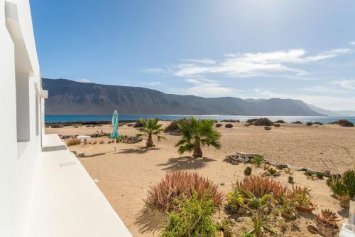 a sandy beach with palm trees and the ocean at El Graciosero in Caleta de Sebo