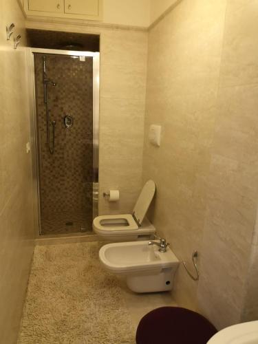 a bathroom with a toilet and a shower at AKIRE in Rome