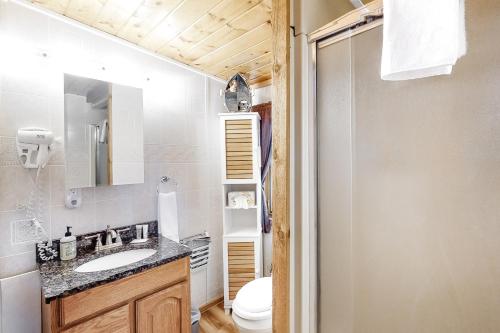 a bathroom with a sink and a toilet at Catfish Cottage A in Eagle River