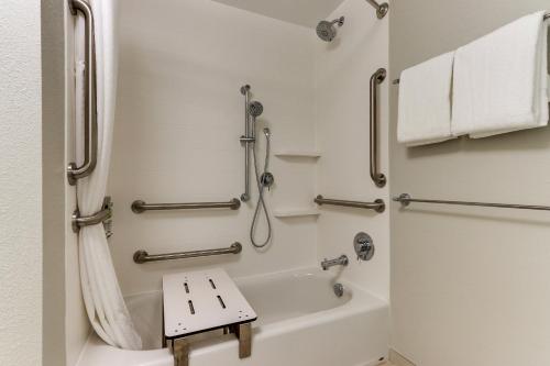 a bathroom with a bath tub and a sink at Holiday Inn Express & Suites - Roanoke – Civic Center in Roanoke