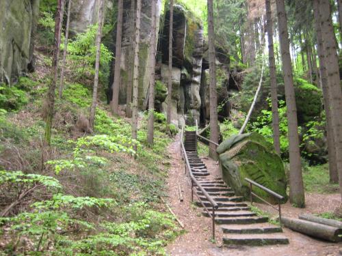a set of stairs in a forest with trees at Pension Jana - Wellness in Jilemnice