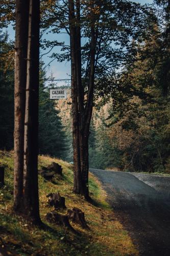 a road with a sign on the side of a forest at Cabana Bucin in Bucsin