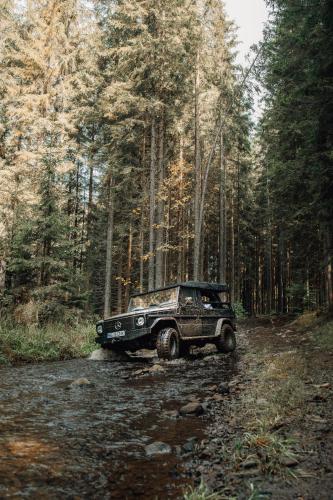 a jeep parked on a dirt road in the woods at Cabana Bucin in Bucsin
