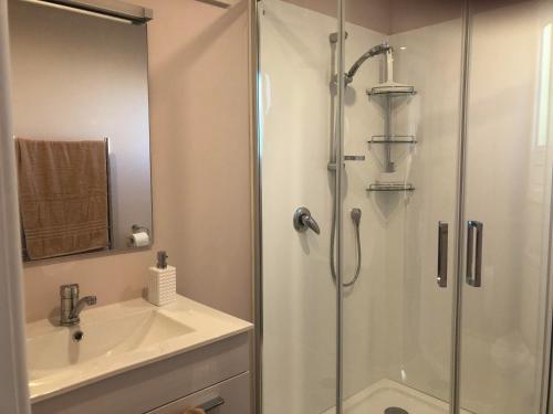 a bathroom with a shower and a sink at Allie's Hill Top Haven Bed & Breakfast in Whanganui