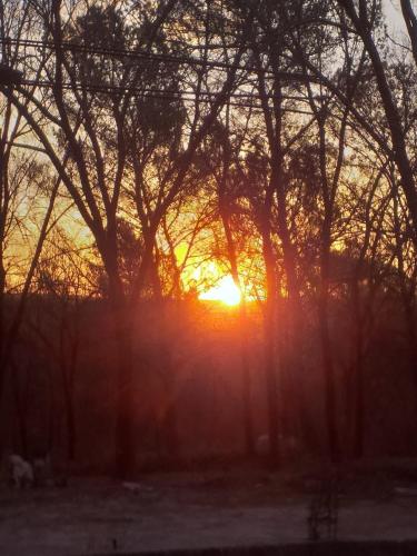 a sunset through the trees in a field at Hostal El Algarrobo in Casa Grande
