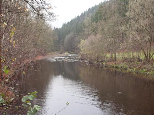 a river with trees on the side of it at Peaceful Villa in Borstendorf in Leubsdorf