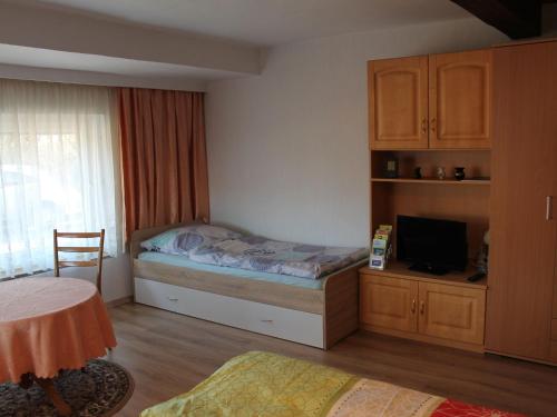 a bedroom with a bed and a desk and a window at Cheerful Apartment in Brusow with Terrace, Garden and Barbecue in Kröpelin