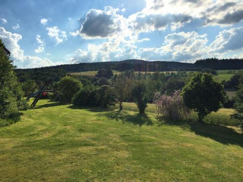 a field of grass with trees and bushes at Spacious Apartment in Schönsee with Sauna in Dietersdorf