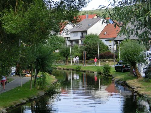 a river in a town with houses and buildings at Spacious Apartment in Schönsee with Sauna in Dietersdorf