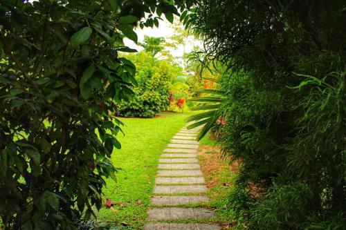 a stone path through a garden with trees at Casona Rústica & Bungalow in Fortuna