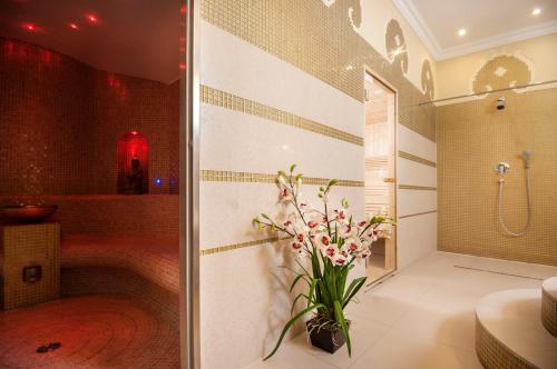 スプラシルにあるBorowinowy Zdrój Hotel Wellness Spa & Conferenceのギャラリーの写真