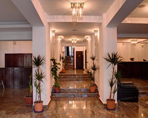 a hallway with potted plants and stairs in a building at Cabana Bistrita in Durau