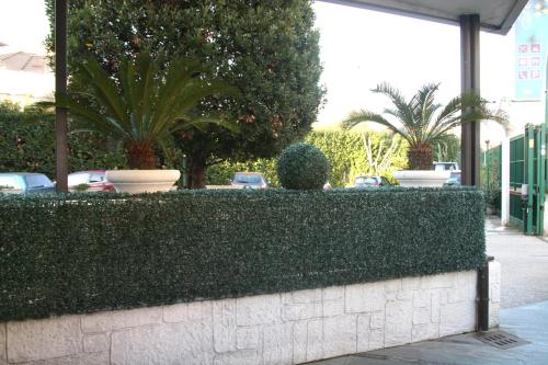 a hedge in front of a building with plants at Hotel Daytona Palace in Casoria