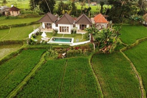 Zahrada ubytování 2 BR Villa with open view of rice paddies & sunset