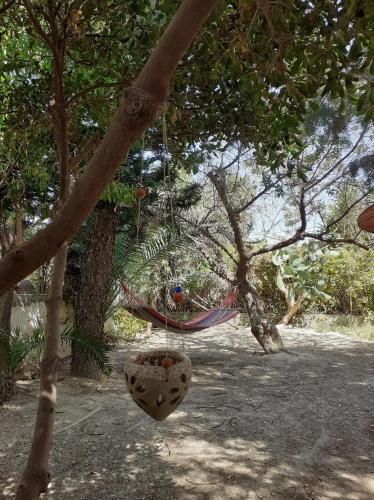 a hammock hanging from a tree in a park at Sea and Sun in Amoudara Herakliou