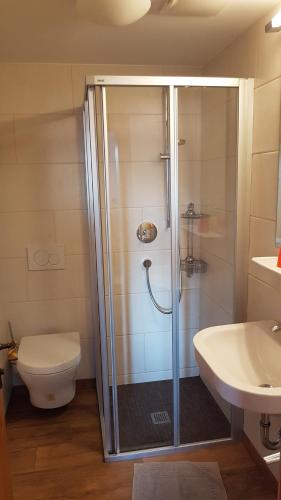 a bathroom with a shower and a toilet and a sink at Gasthof und Panoramastellplatz Friedburg in Neukirchen am Großvenediger
